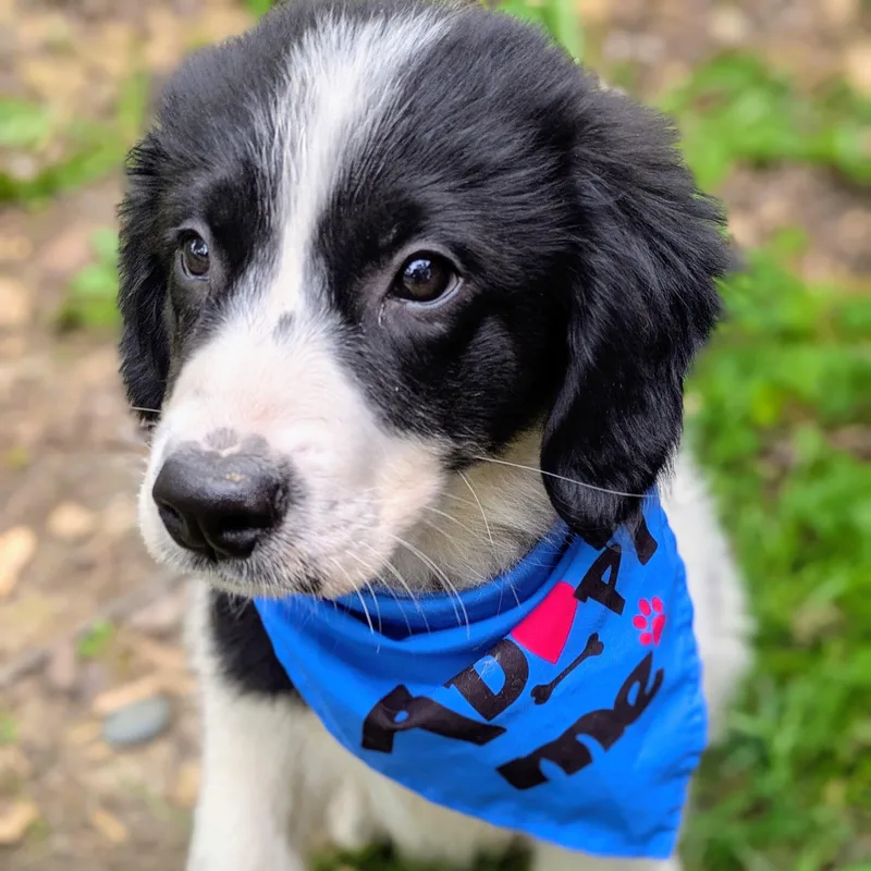 Loki thumbnail 4