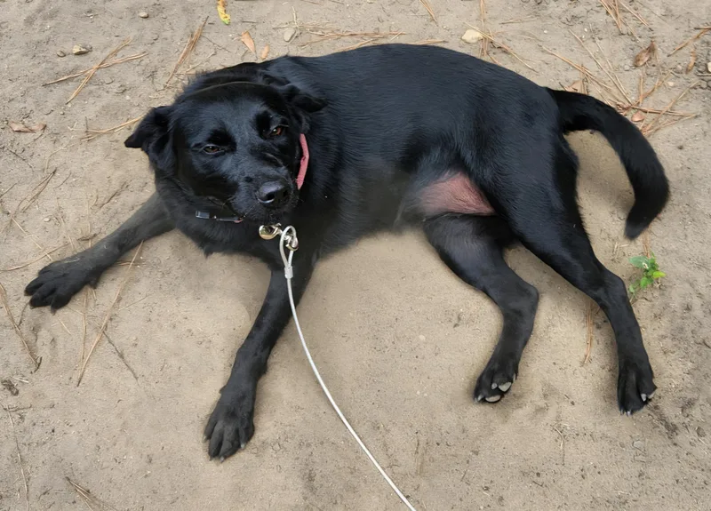 Shadow thumbnail 4