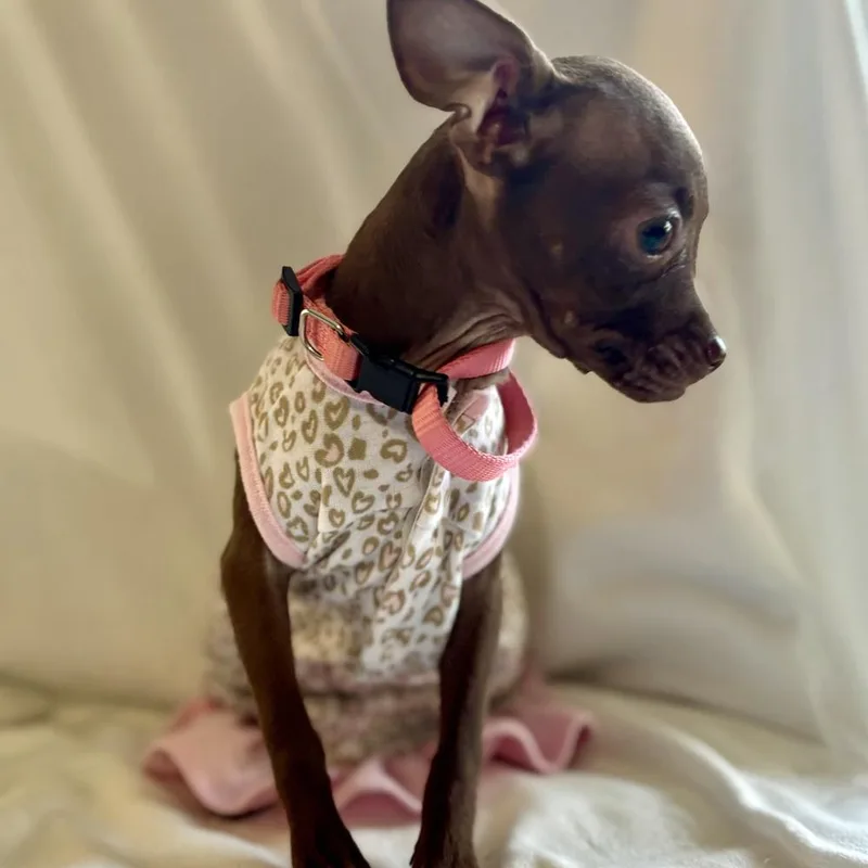 Little Girl thumbnail 3