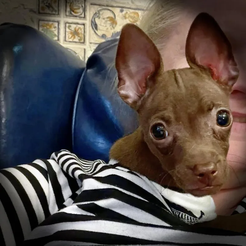 Little Girl thumbnail 5