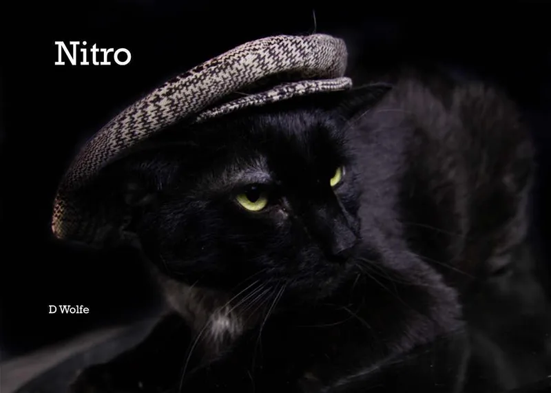 Nitro thumbnail 3