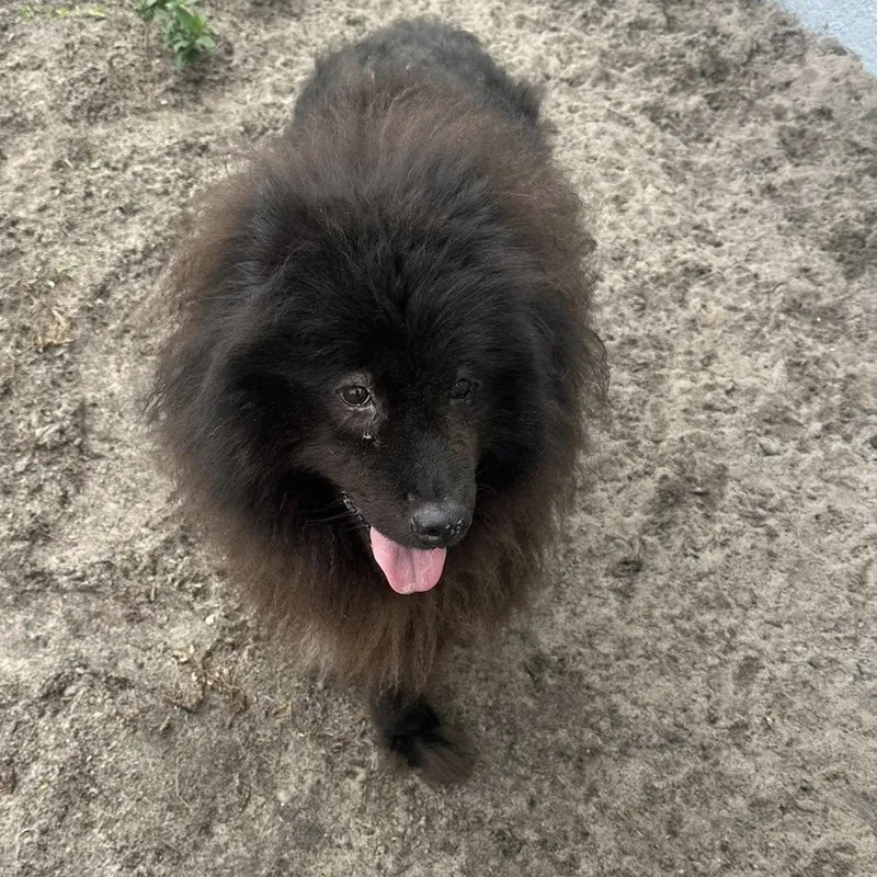 Fluffy & Mathers thumbnail 2