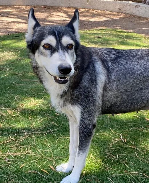Luna
