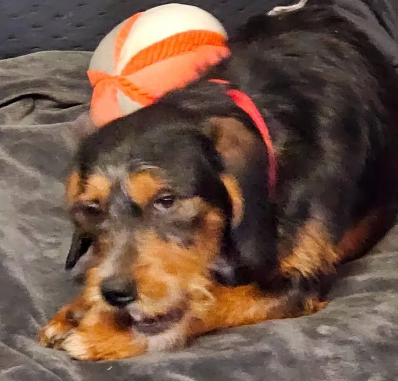Charlie thumbnail 3