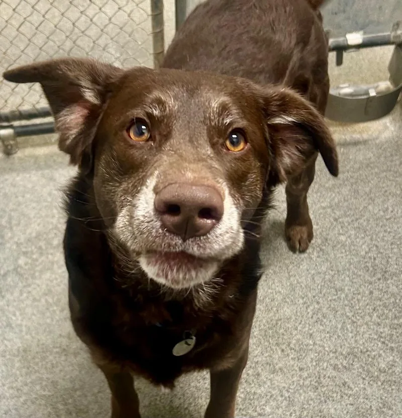 Jenkins  Local thumbnail 4