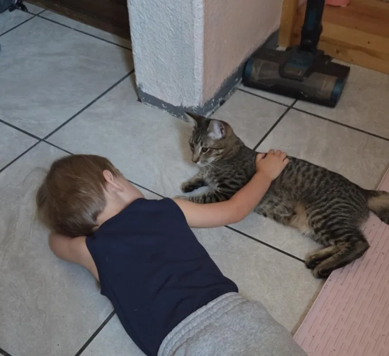 Lemon and Kiwi thumbnail 5