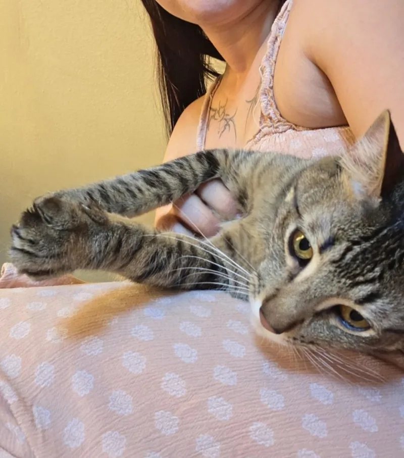 Lemon and Kiwi thumbnail 6