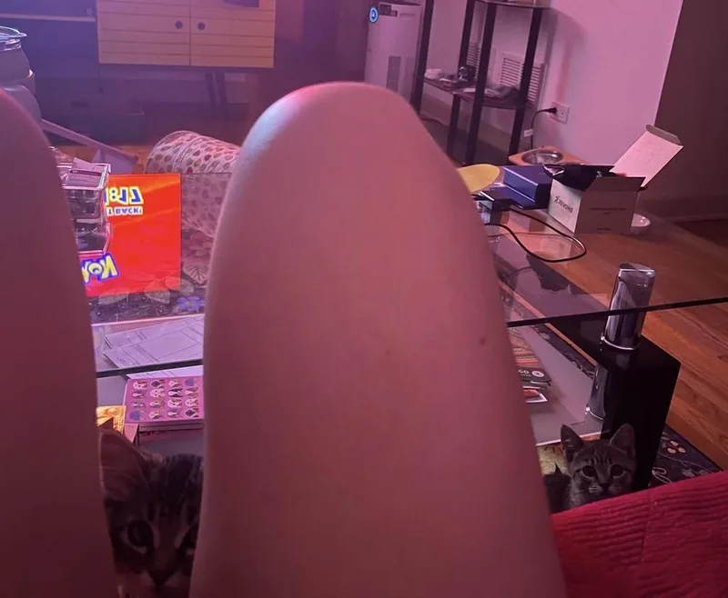 Anchovy thumbnail 3