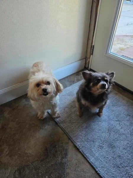 Ekko & Mimi thumbnail 4