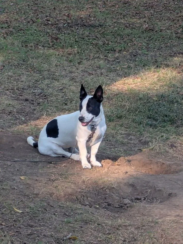 Pearl +. ~ Cp thumbnail 2