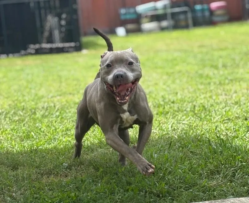 Merchant thumbnail 3