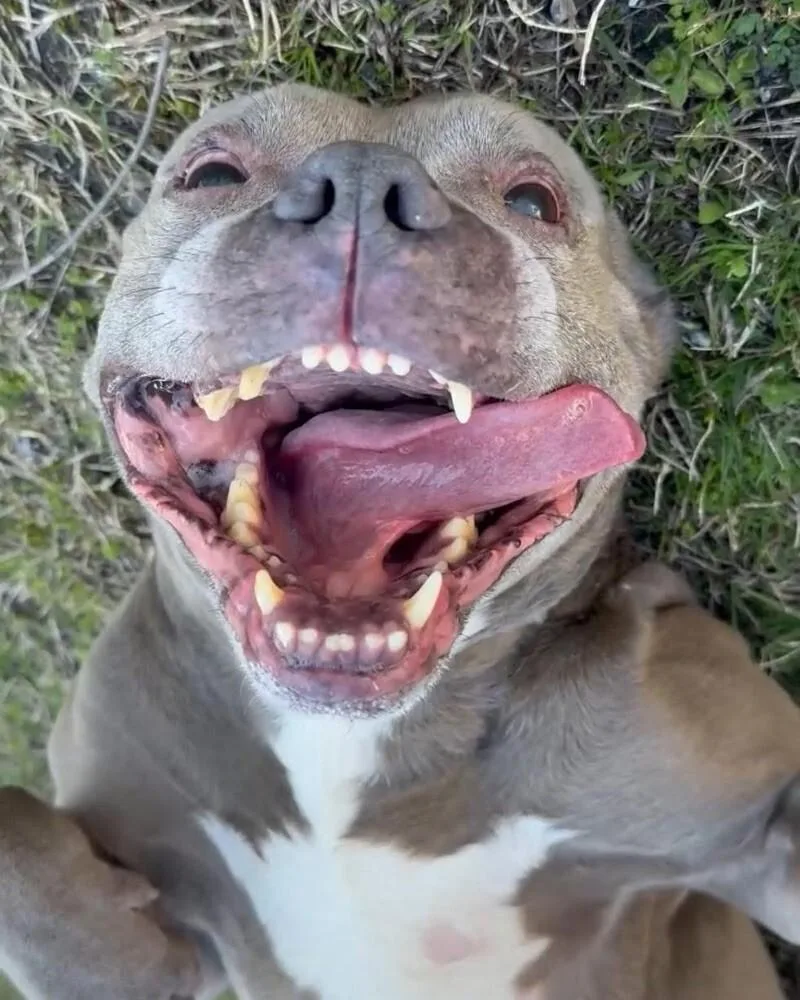 Merchant thumbnail 4