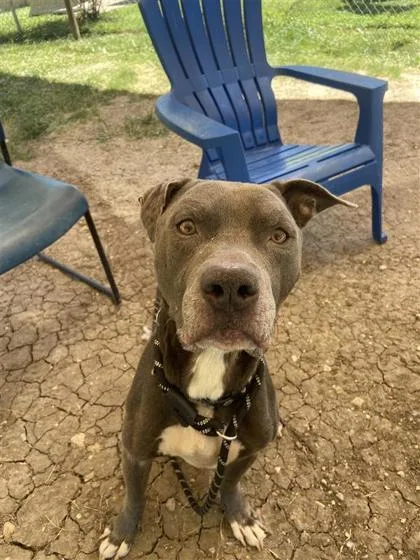 Hercules thumbnail 2