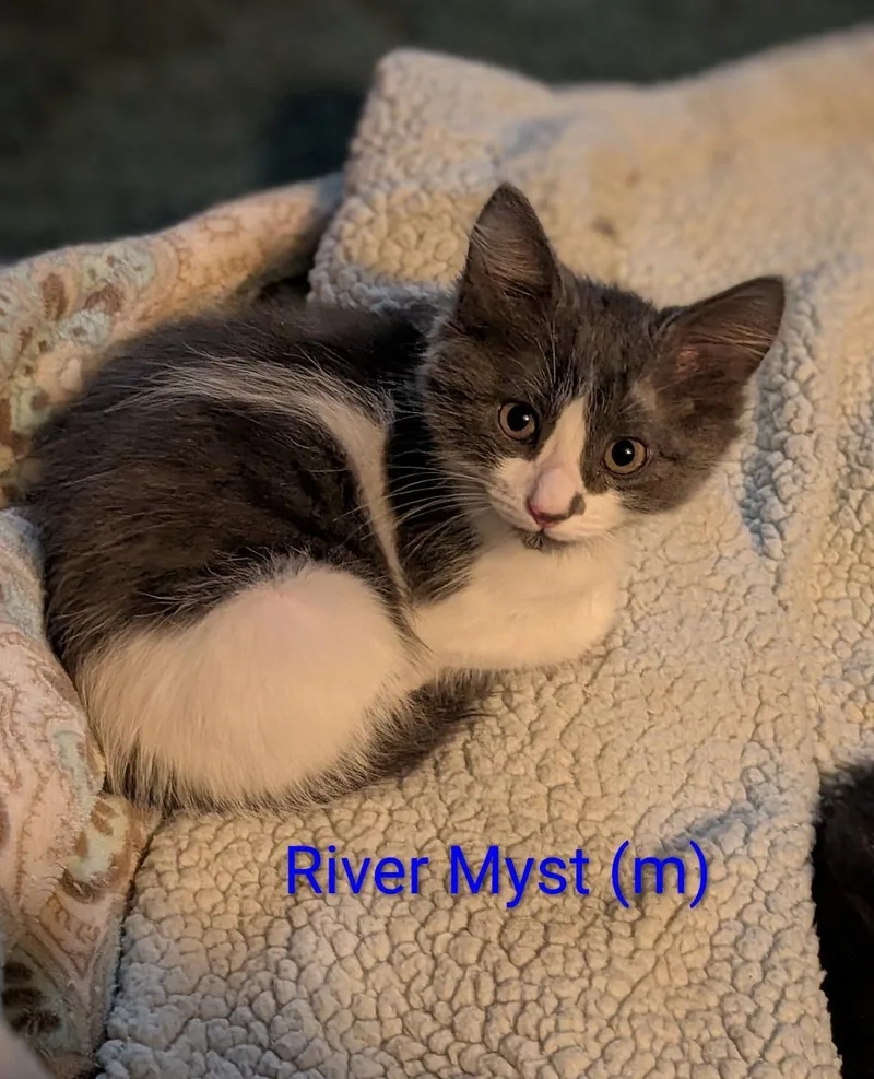 River Myst thumbnail 2