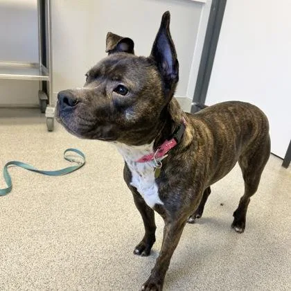 Lilah Rayne thumbnail 2