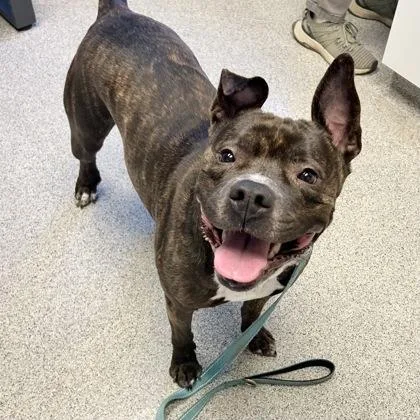 Lilah Rayne thumbnail 3