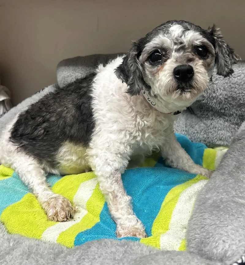 Mira Mar thumbnail 2