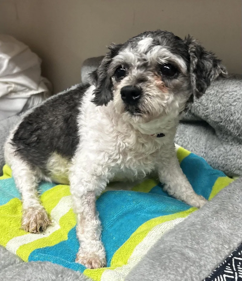 Mira Mar thumbnail 3