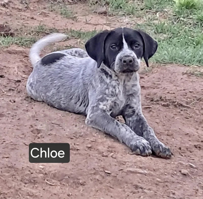 Chloe