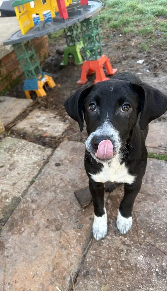 Mittens Johnson thumbnail 2