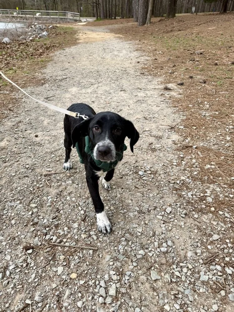 Mittens Johnson thumbnail 4