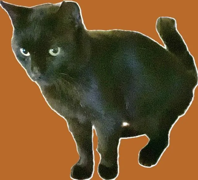 Samson thumbnail 2