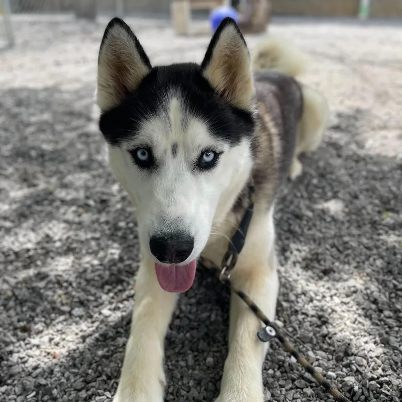 Forecast thumbnail 2