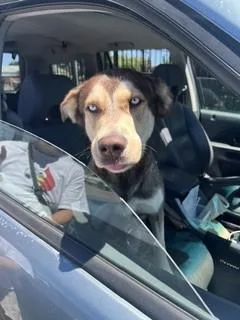 Skye