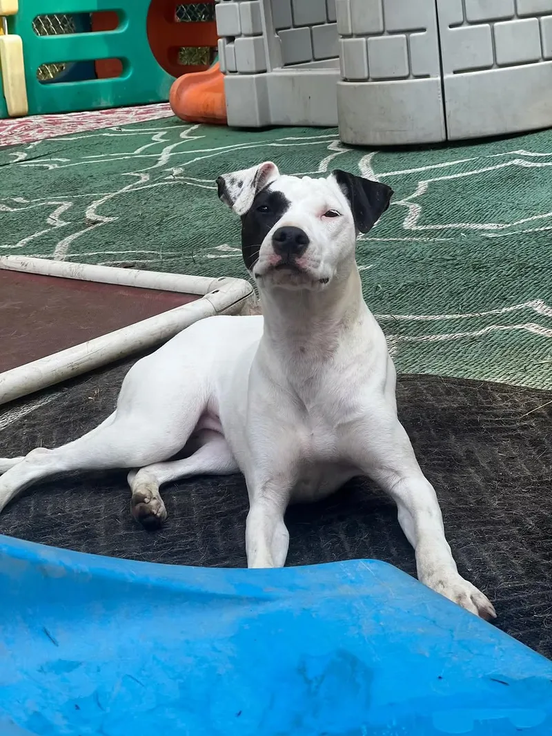 Delilah  In Maine thumbnail 5