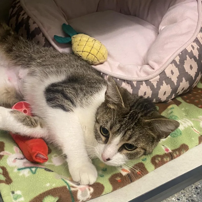 Glow Worm thumbnail 3