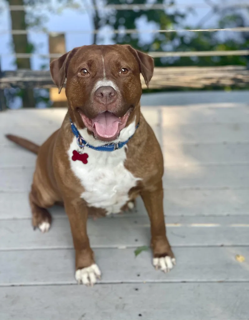 Wemberly thumbnail 2