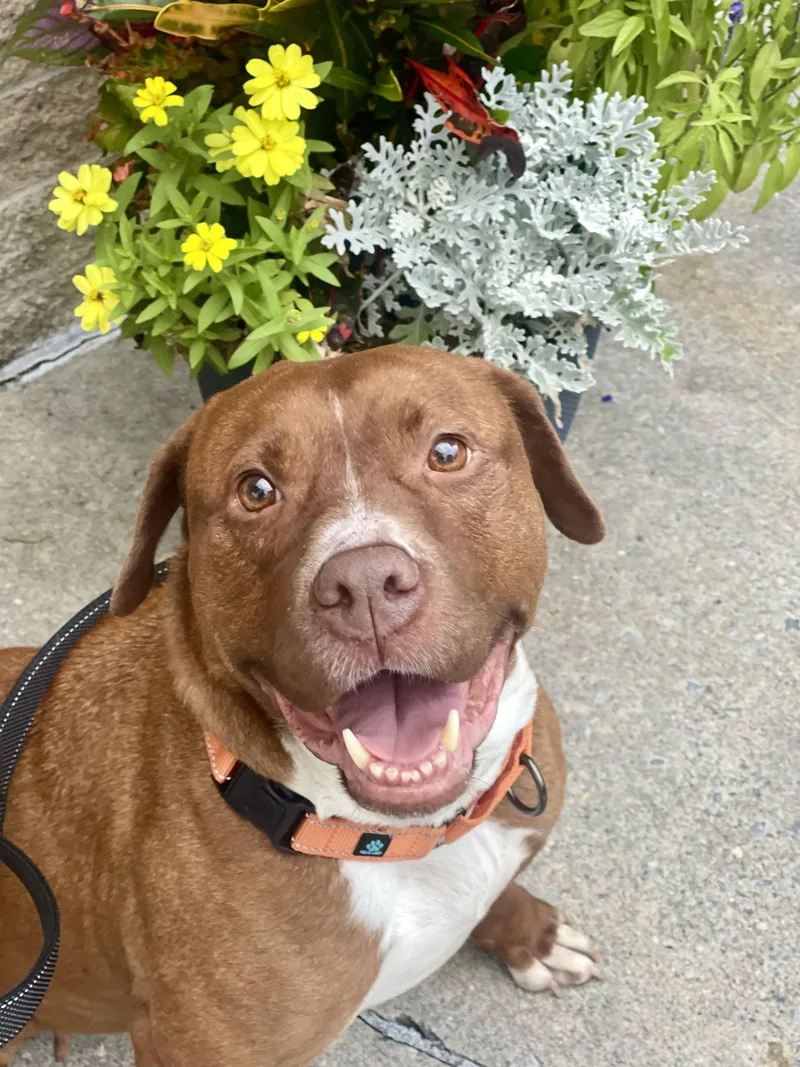 Wemberly thumbnail 3