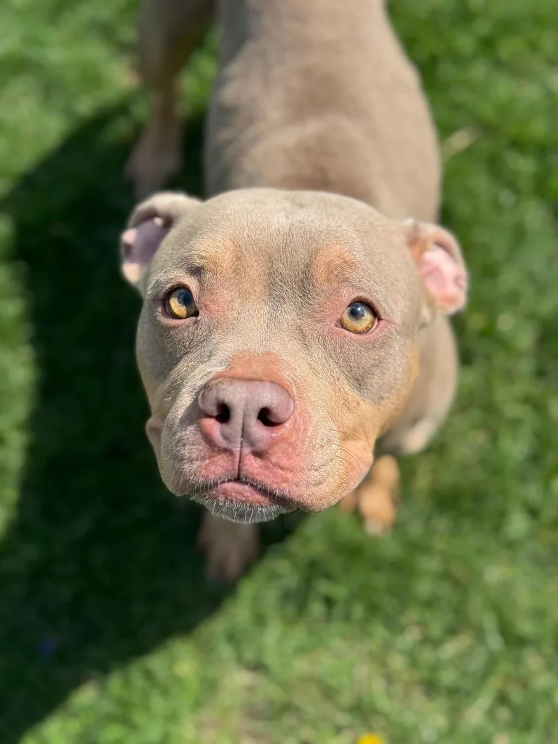 Coco Louise thumbnail 2