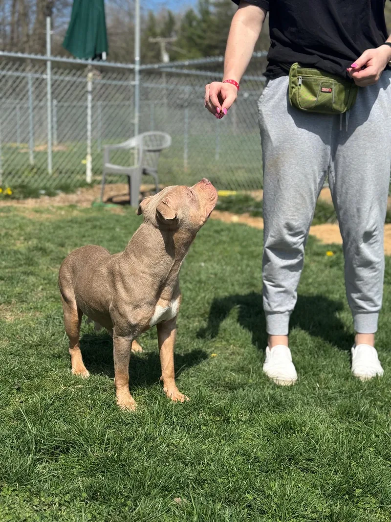 Coco Louise thumbnail 3