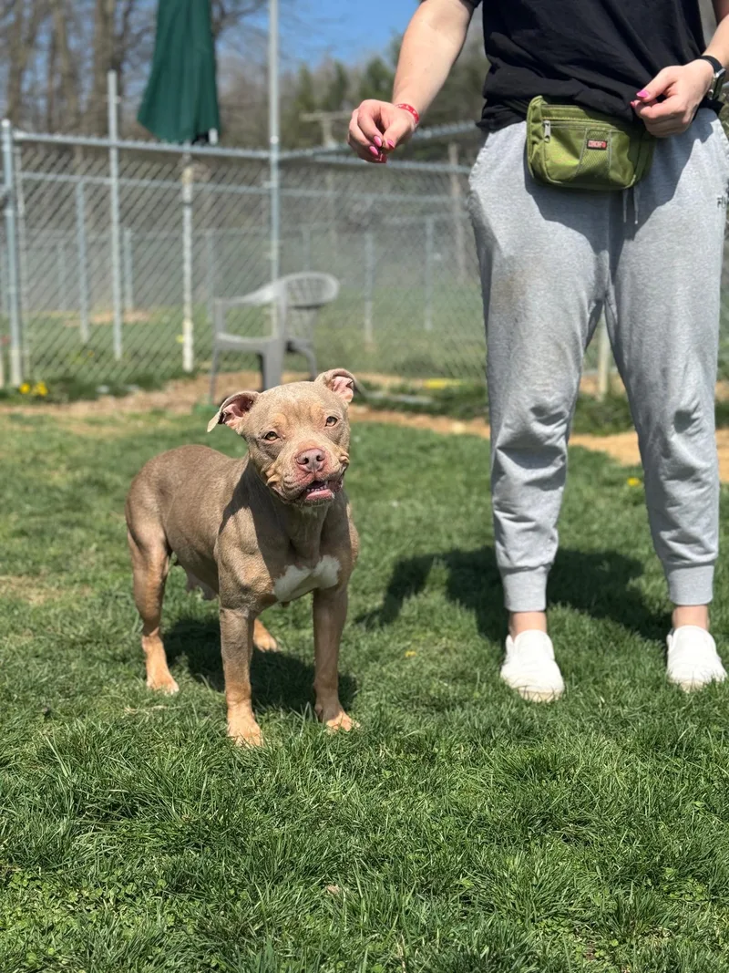 Coco Louise thumbnail 5