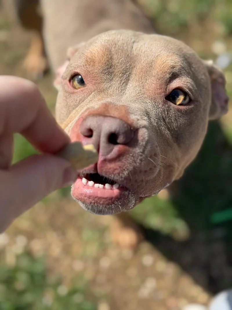 Coco Louise thumbnail 6