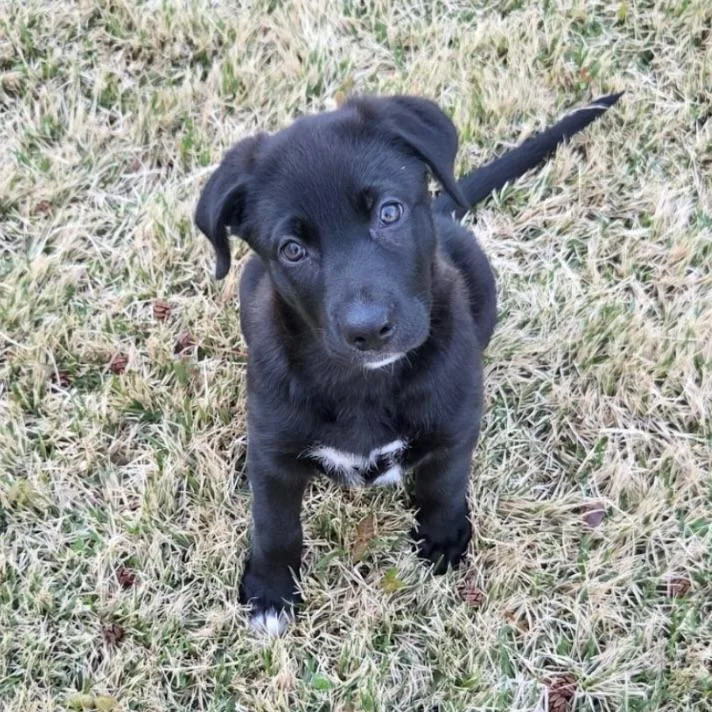 Tallulah thumbnail 2