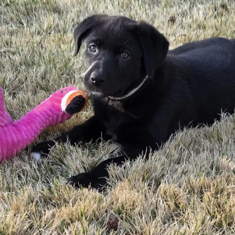 Tallulah thumbnail 4