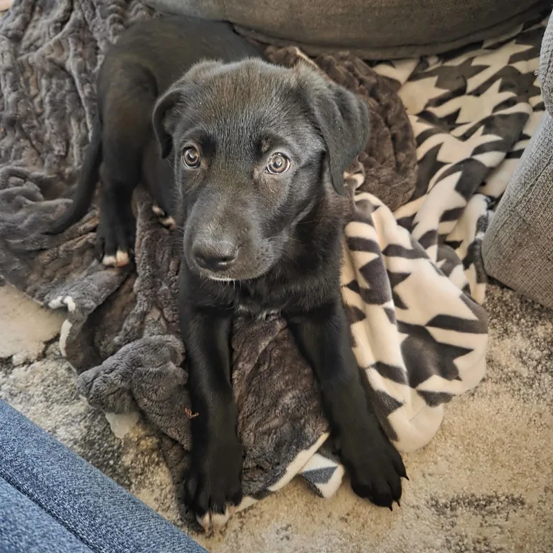 Tallulah thumbnail 5