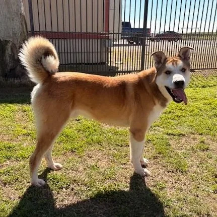 Bernardo thumbnail 2