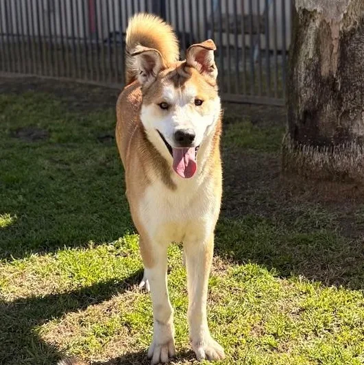 Bernardo thumbnail 3