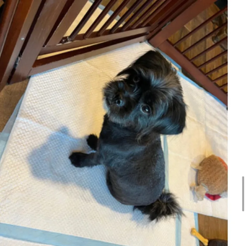 Leslie Knope thumbnail 3