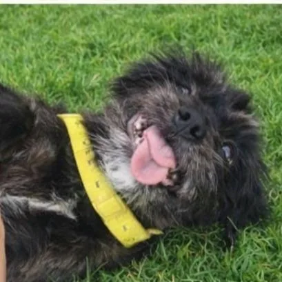 Leslie Knope thumbnail 4