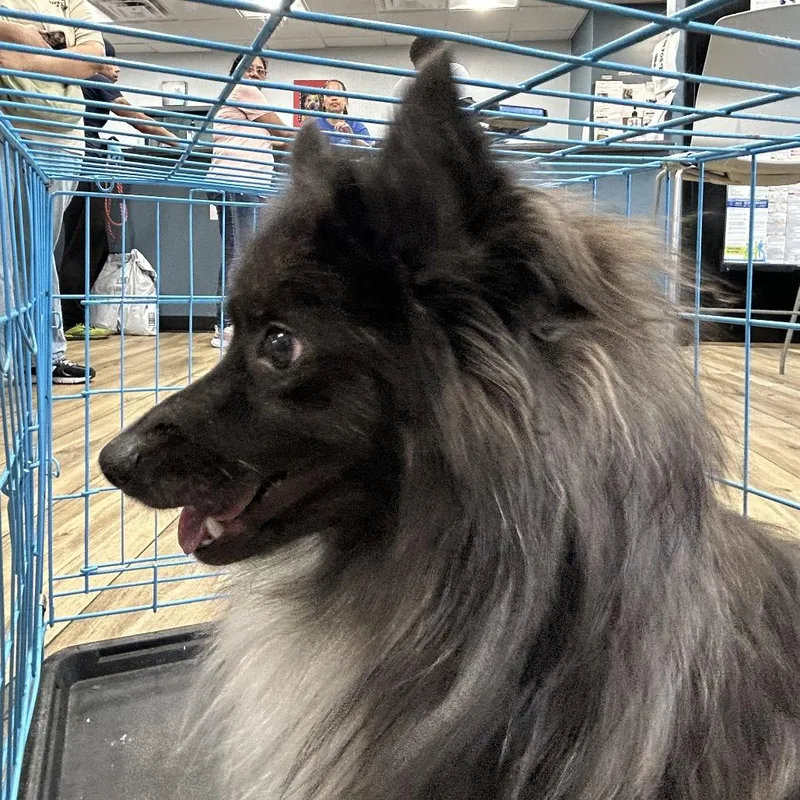 Milo
