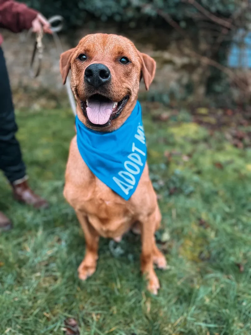 Nicholas thumbnail 3