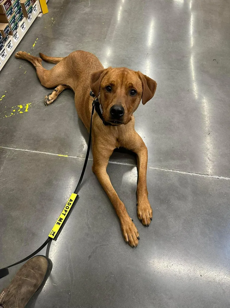 Nicholas thumbnail 4