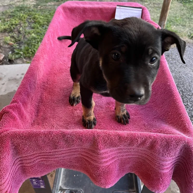 Milky Way thumbnail 2