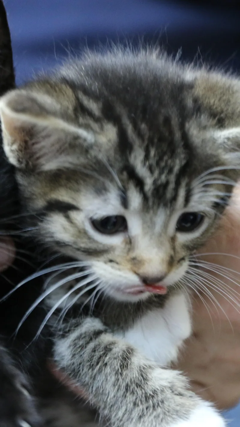 Kate thumbnail 5