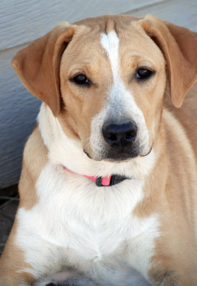 Pink Girl thumbnail 3