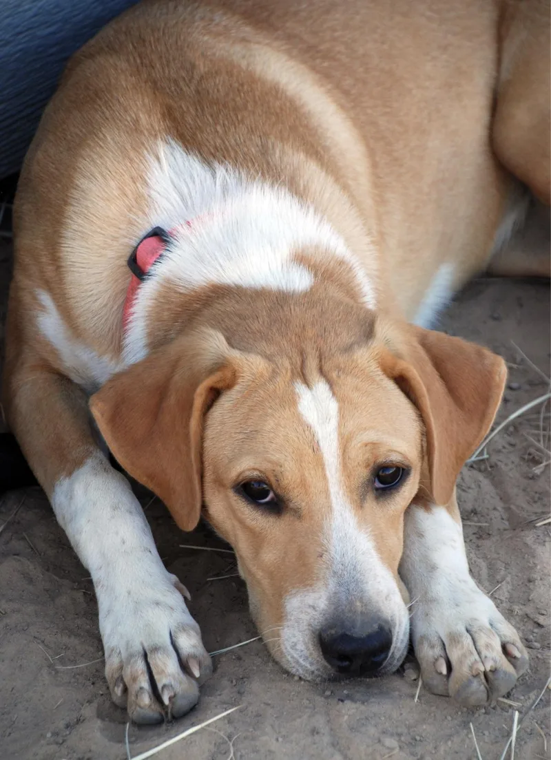 Pink Girl thumbnail 5